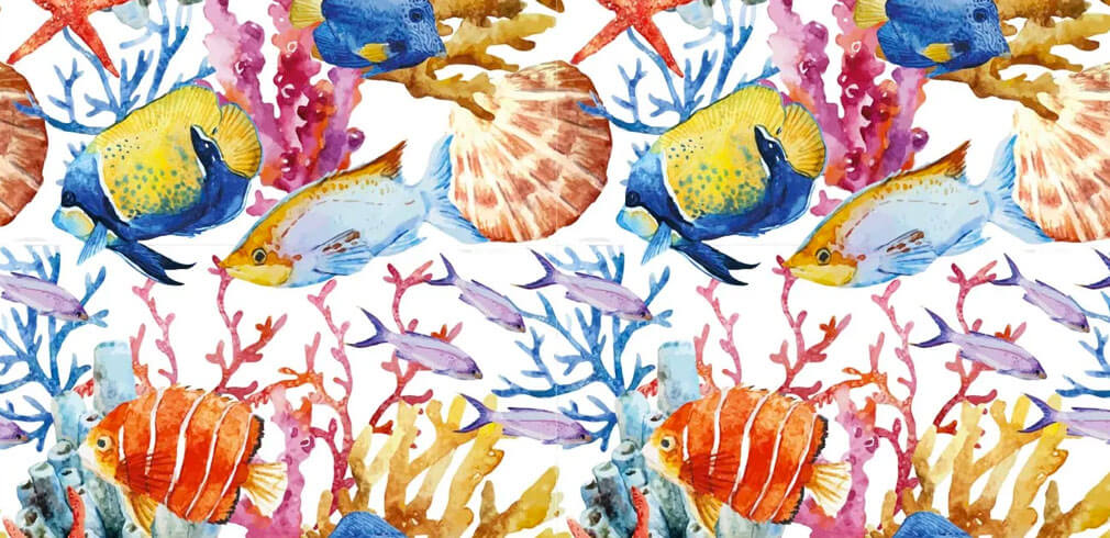 Mediterranea Collection